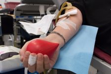 Don du sang : les réserves au plus bas, l’EFS inquiet